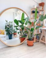 Bambu Ayna 150 cm Çap - Görsel 3